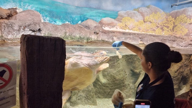 ../images/fotoalbum/lanzarote23/2023-09-18 11.18.44